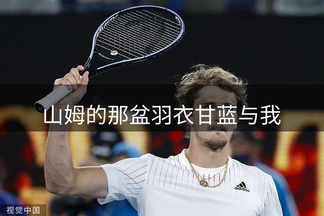 山姆的那盆羽衣甘蓝与我